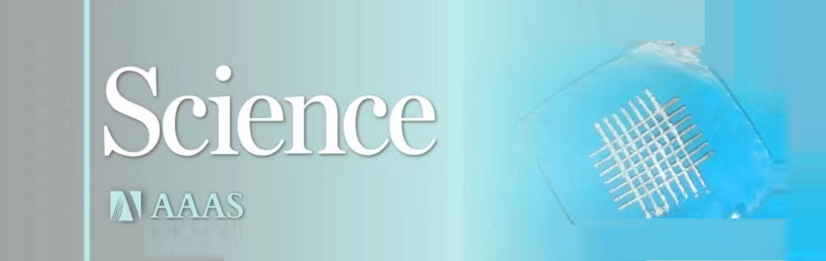 Chinese Scientists Develop Highly-Flexible Ferroelectric Material for Smart Wearables