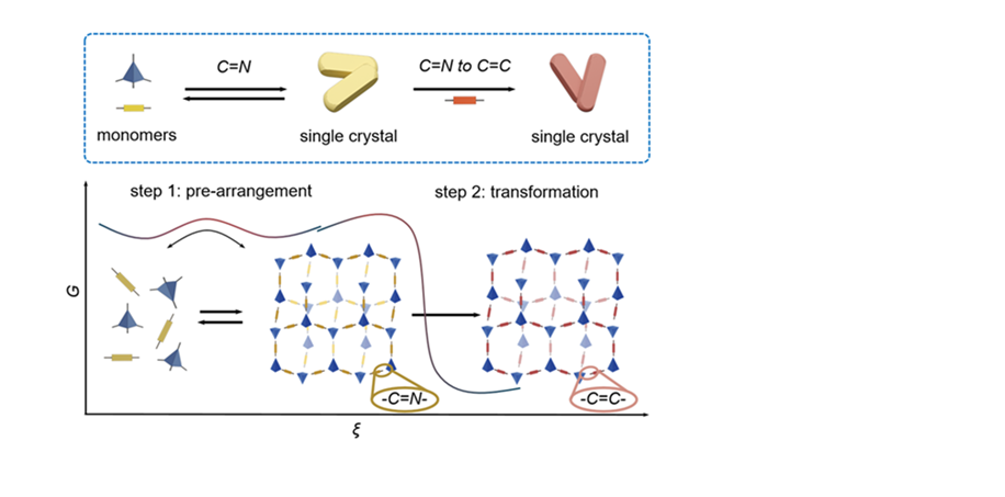 Scientists Synthesize Single-Crystal Sp² Carbon-Linked Covalent Organic Frameworks