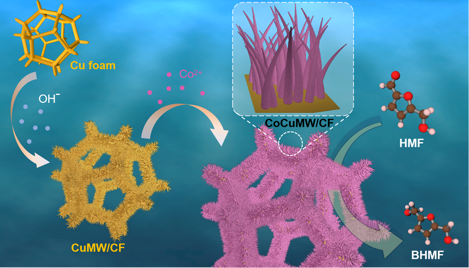 Scientists Develop Corrosion-Induced Electrodes for Biomass Upgrading