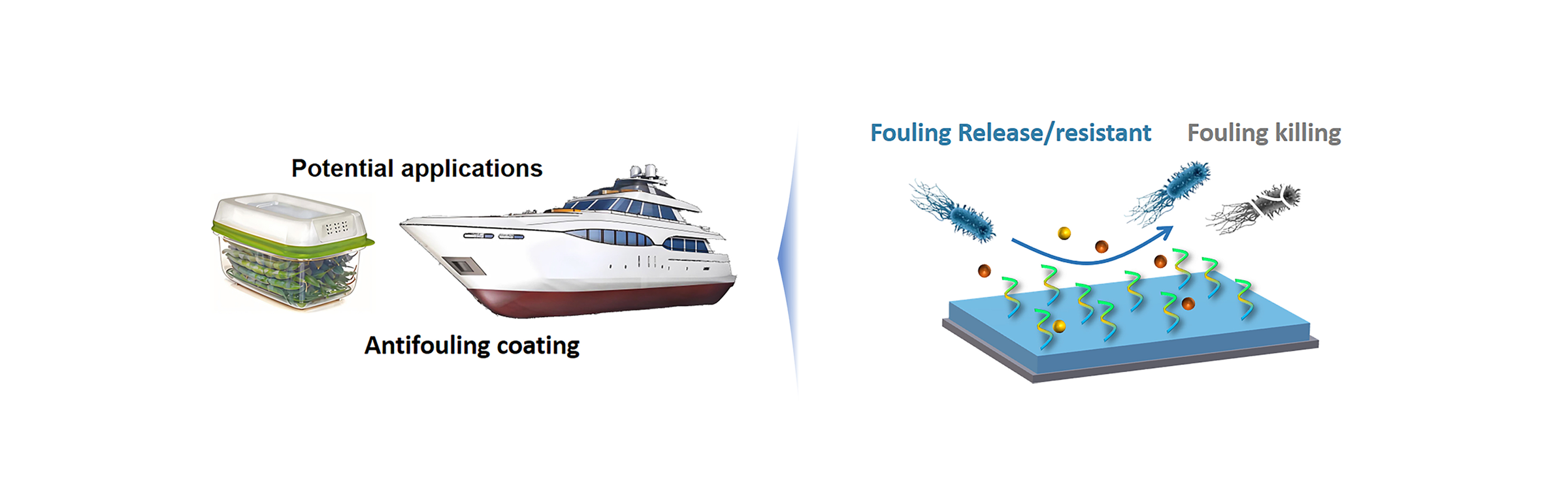 Chinese Scientists Develop Degradable Coating to Tackle Marine Biofouling Challenges