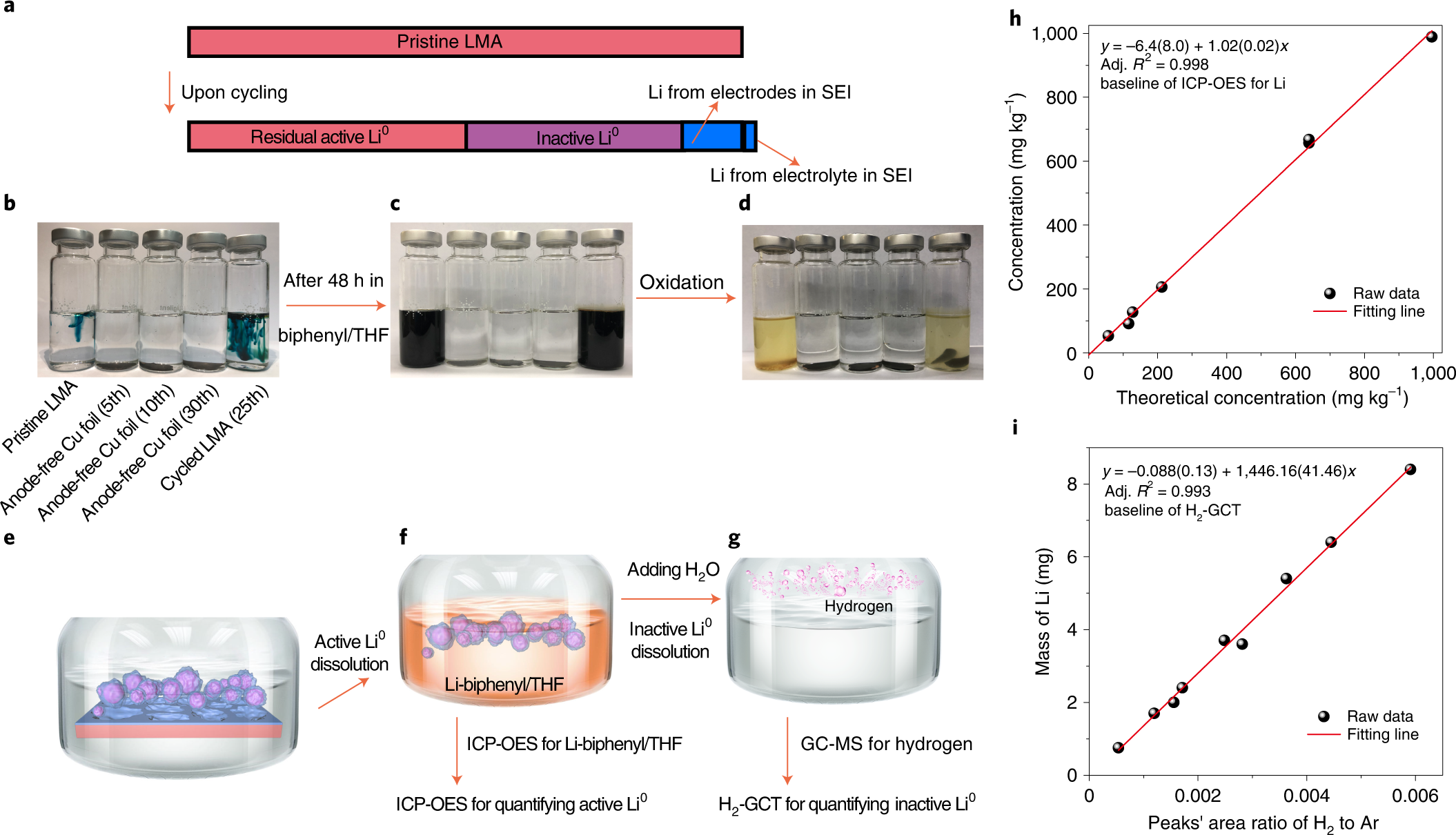 Novel Method Helps Quantify Reversibility and Irreversibility of Practical Li Metal Batteries