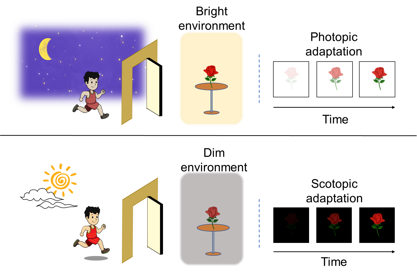 Scientists Develop Bioinspired Vision Sensor based on InP QDs/Oxide Thin Film Phototransistors
