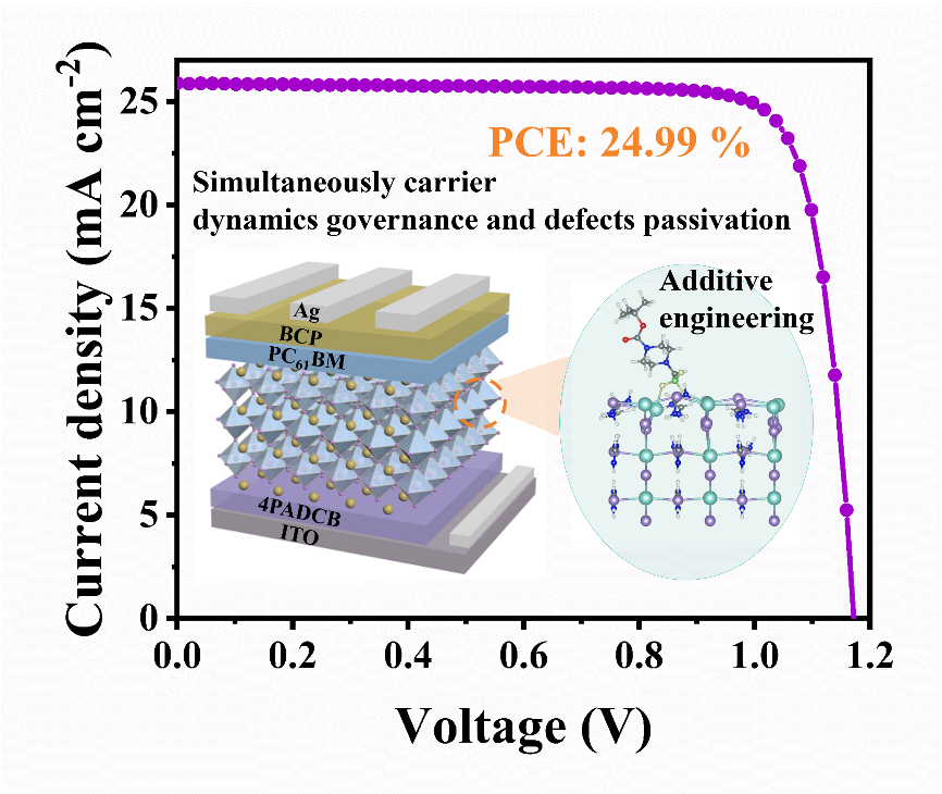 Novel Multifunctional Additive Boosts Efficiency and Stability of Inverted PSCs