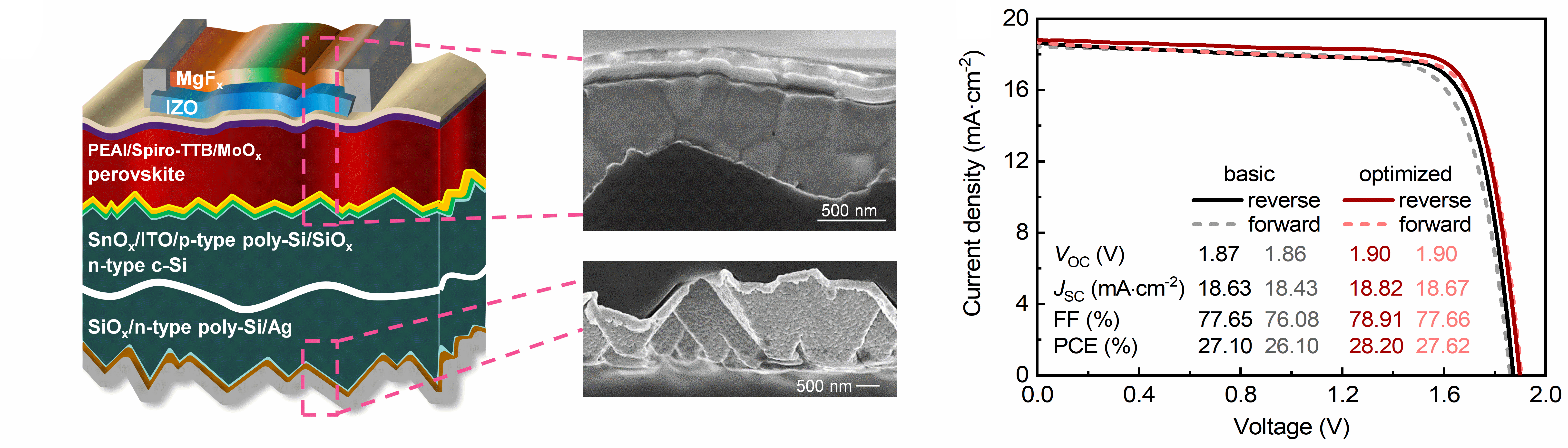 Highly Passivated TOPCon Bottom Cells Developed for Perovskite/Silicon Tandem Solar Cells