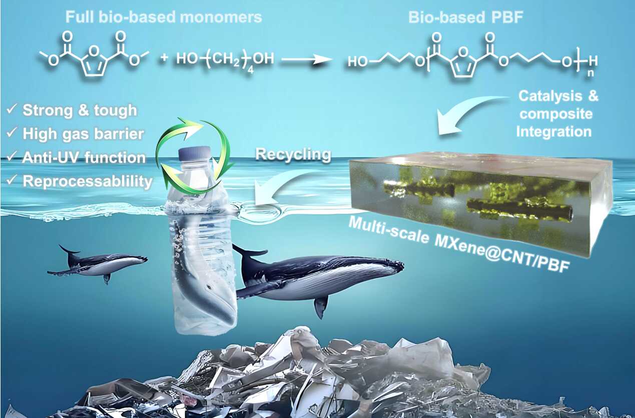 Researchers Develop Bio-Based Polyester Nanocomposites with High Performance and Reprocessability