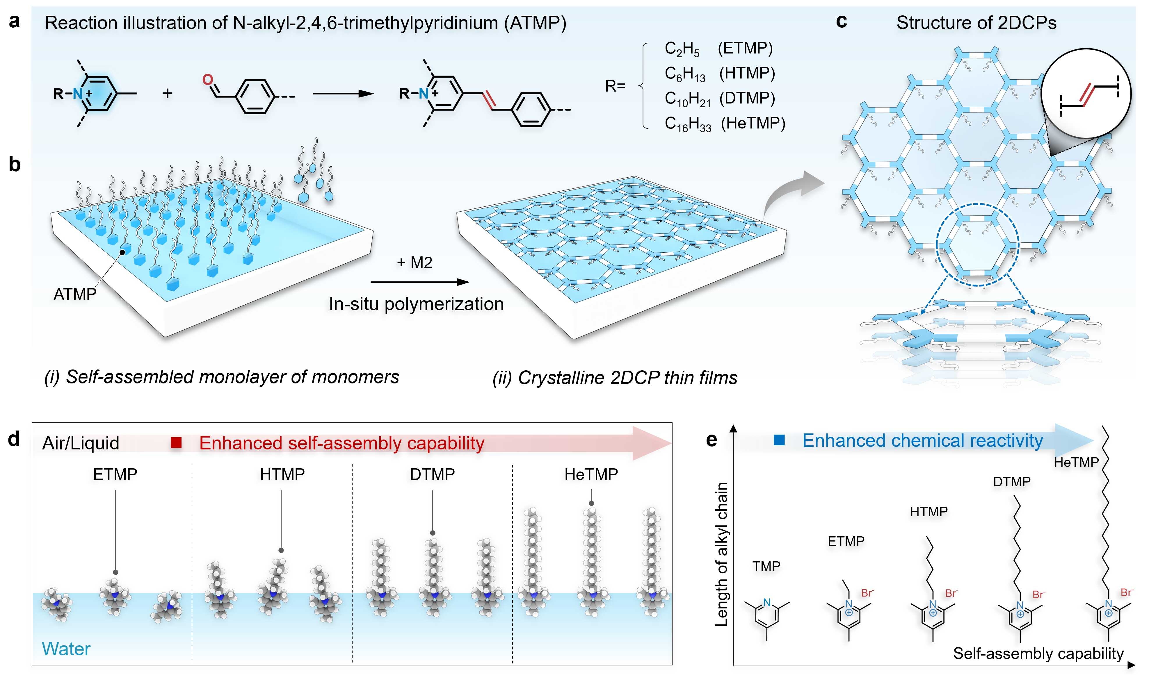 Scientists Achieve Precise Interfacial Synthesis of Crystalline sp²-Carbon Conjugated 2D Polymers