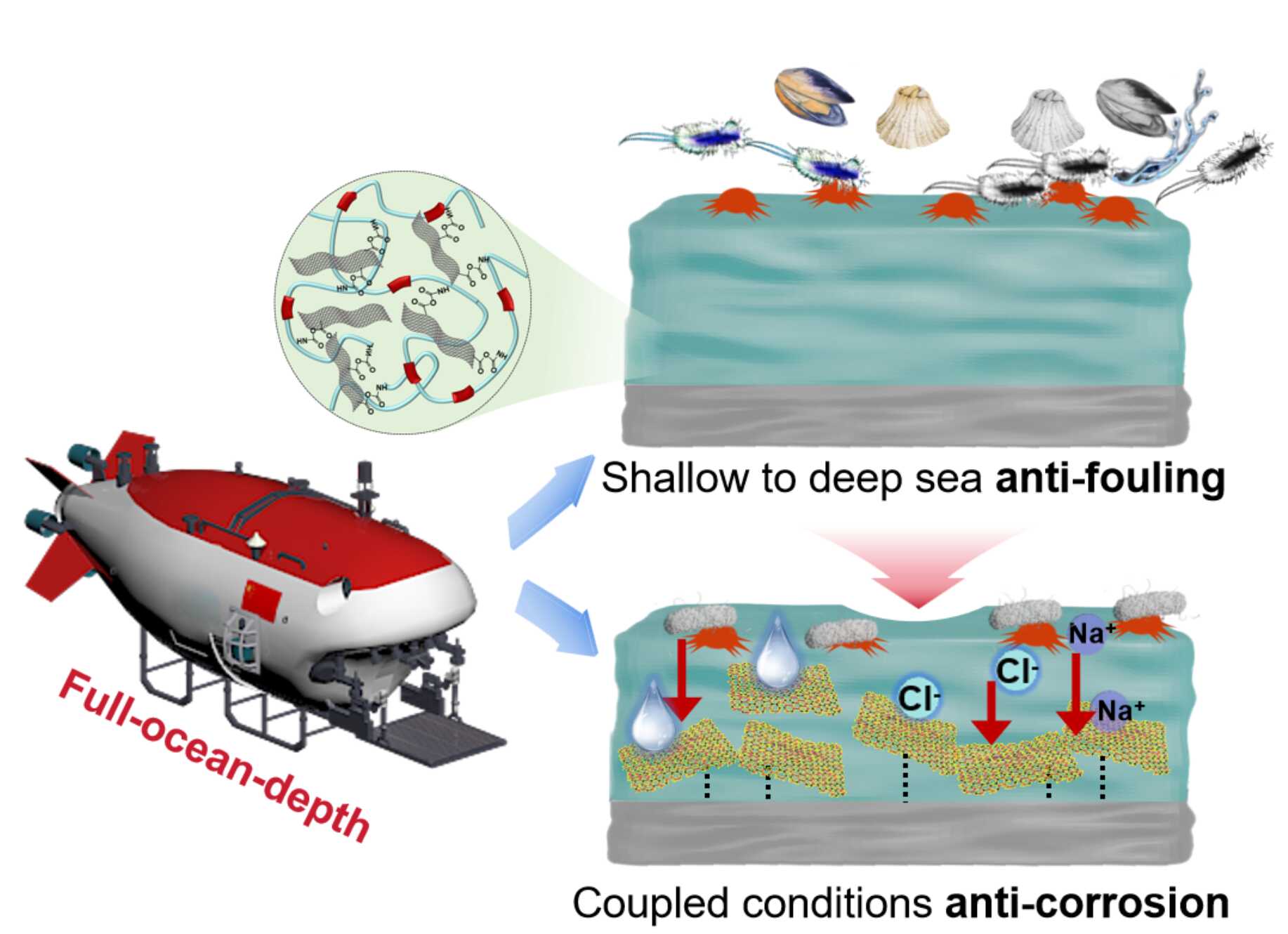 Scientists Develop Full-Ocean-Depth-Oriented Integrated Antifouling/Anticorrosion Coating