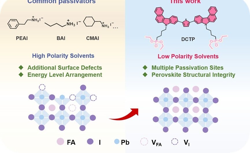 Scientists Develop Low-Polarity Solvent-Soluble Passivator for Efficient and Stable Perovskite Solar Cells