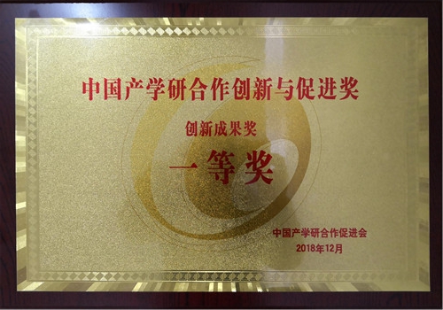 CIUR Honors CAS Research Institute