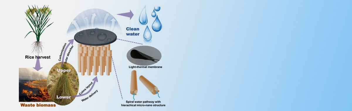 China Focus: Chinese Scientists Use Rice Straw to Desalinate Seawater