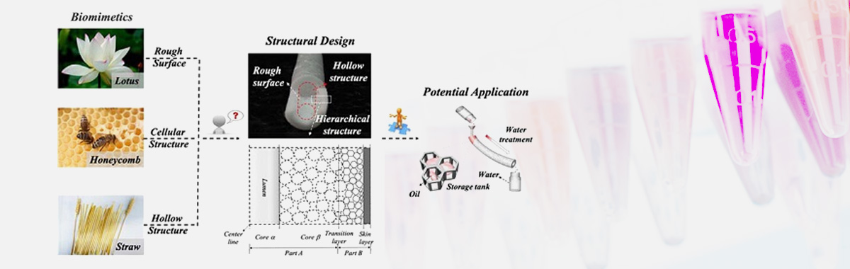 Chinese Scientists Develop New Material to Tackle Oil Pollution