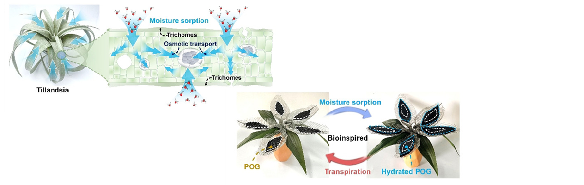 This Super ‘Sponge’ Releases Steam When the Sun Shines