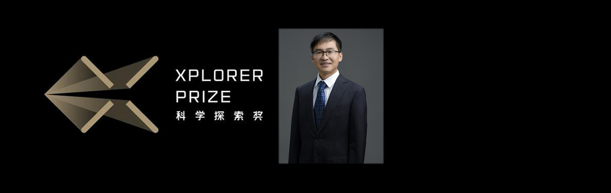 NIMTE Scientist WANG Liping Honored with 2020 XPLORER PRIZE
