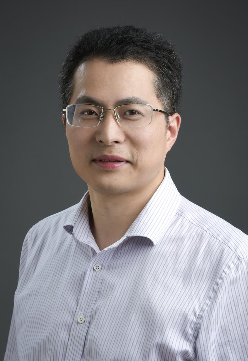LIU Fenghua